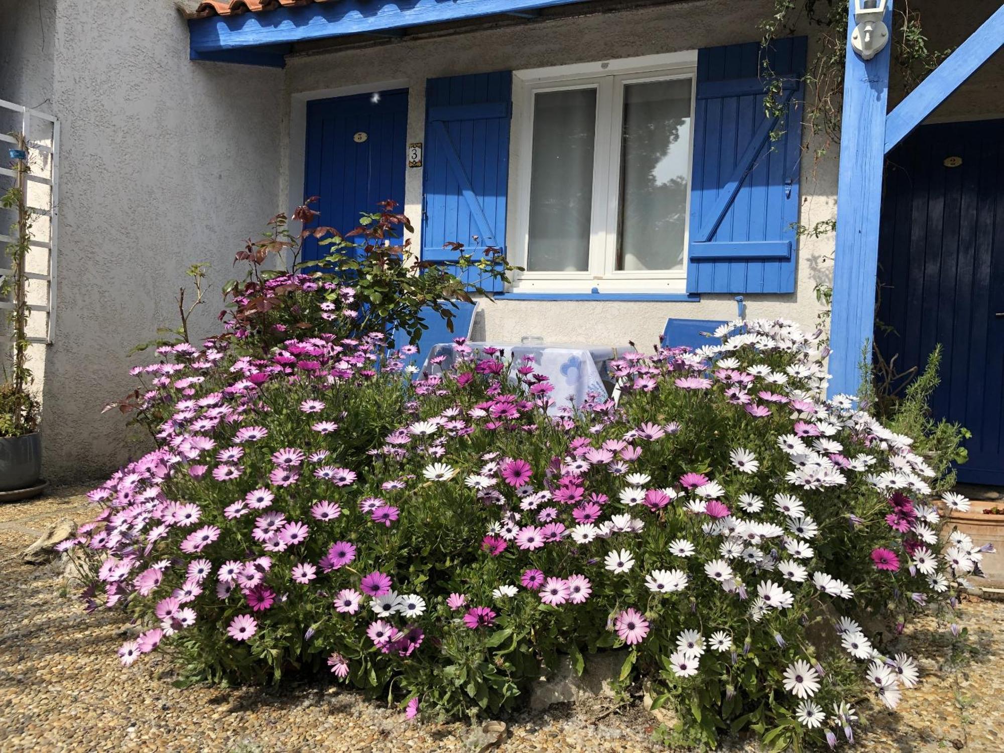 Hotel Des 4 Vents "Esprit Camargue" Aigues-Mortes Exterior photo